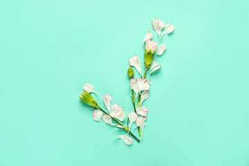 Check mark made of flowers on turquoise background