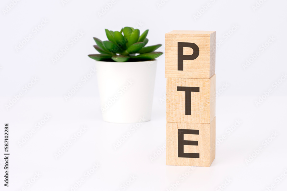 Poster text pte on wooden blocks in white background with copy space