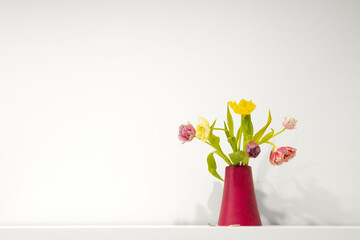 Pink, lilac and yellow tulip flowers bouquet in a  magenta vase minimalist photography with some copywriter space and white background