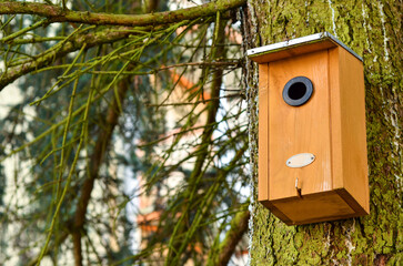 View of bird house on tree
