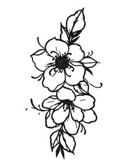 Vector illustrations. Hand-drawn  Vintage drawings on the chalkboard. Flowering vintage collection flowers sketches. Botanical vector illustrations isolated on white. Botanical drawings of hand drawn 