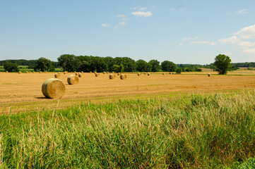 Hay Bales In A Farm Field In August In Wisconsin