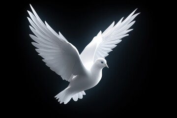 The flight of the dove: an image that represents peace and freedom, Generative AI