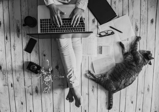 Grayscale image of person using computer beside a sleeping cat on floor
