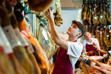 Portrait of focused young salesman in apron working in local Spanish butcher shop, arranging legs of dry-cured Iberian ham hanging on display rack