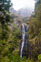Waterfall in the Madeira mountains