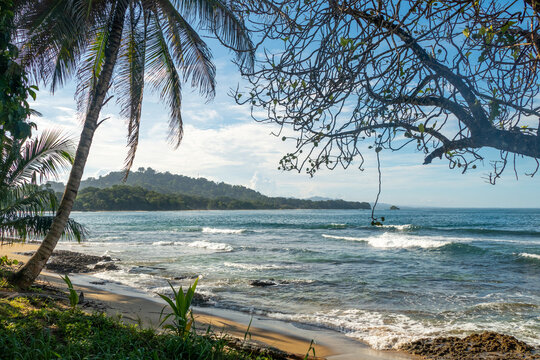beautiful beach of Cocles on the Caribbean side of Costa Rica, Puerto Viejo de Talamanca