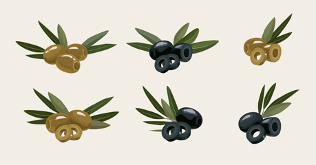 Set of hand drawn pitted black and green olives with olive leaves. Vector illustration