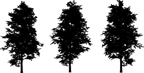 Set of tree silhouettes black color isolated on white background