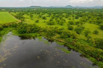Aerial Footage of a Valley with a Serene Lagoon and Flourishing Vegetation