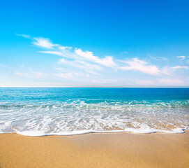 Fototapeta na wymiar Beautiful tropical sea and sandy beach