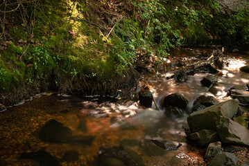 Naklejka na ściany i meble stream running through lively landscape long exposure background