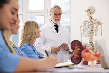 Doctor giving lecture for interns in university