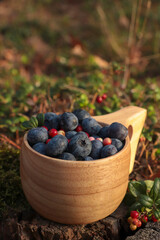 Wooden mug full of fresh ripe blueberries and lingonberries on grass, closeup
