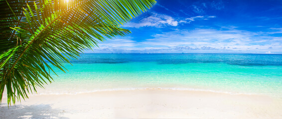 tropical beach with coconut palm - 587130494
