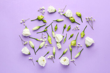 Composition with beautiful eustoma and gypsophila flowers on lilac background