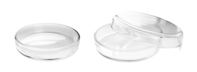 Empty Petri dishes isolated on white. Laboratory glassware