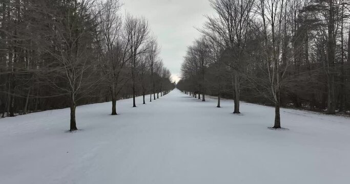 Video at or near ground level of winter tree lined lane, path, trail with snow covering the ground. Building in the distance.	