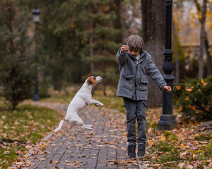 Caucasian boy playing with a dog for a walk in the autumn park. 