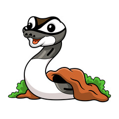 Cute axanthic pied ball python cartoon out from hole