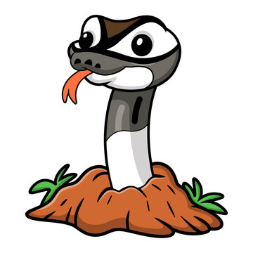 Cute axanthic pied ball python cartoon out from hole