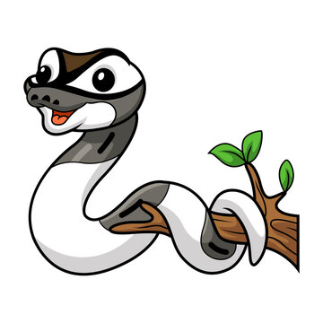 Cute axanthic pied ball python cartoon on tree branch
