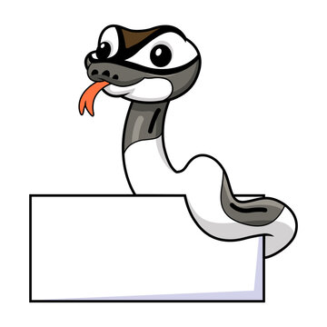 Cute axanthic pied ball python cartoon with blank sign