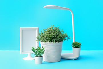 Artificial houseplants with blank frame and lamp on blue background
