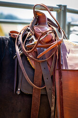 Horse Saddle and rigging. 