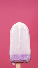 Close-up shot of vertical Front view melting taro popsicles on pink background.