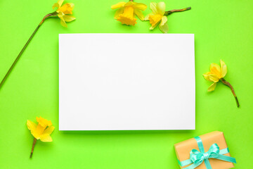 Beautiful narcissus, gift box and rectangular blank card on color background