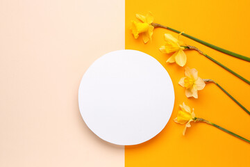 Beautiful narcissus and round blank card on color background