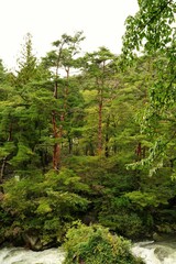 昇仙峡、神奈川県、日本、景色、渓谷、岩、川、水、空、自然、流れ、橋、電話ボックス、バス停、古い電話、木、急流、秋、緑、つり橋、看板、標識、ダム、観光、ツアー、バスツアー、
