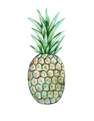 Pineapple watercolor illustration. Colorful tropical fruit