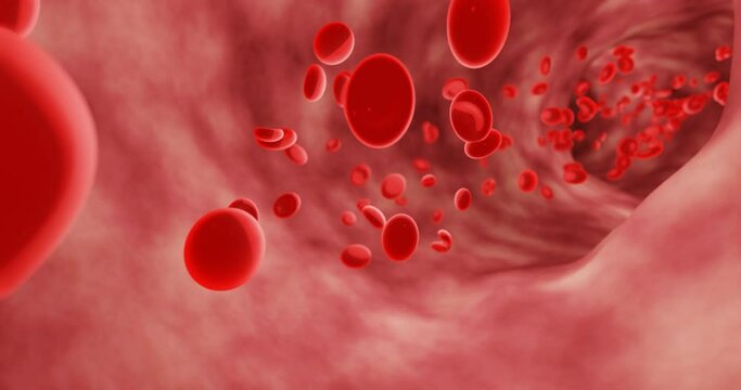 Red blood cells in an artery or blood vessel, flow inside the body, medical human health-care. 3D Rendering.