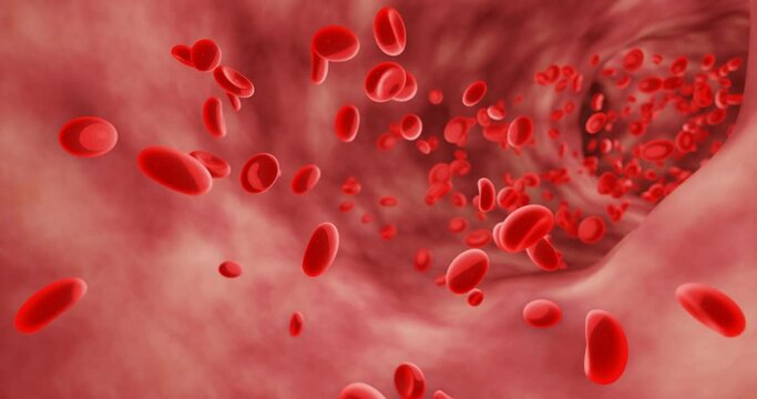  Red blood cells in an artery or blood vessel, flow inside the body, medical human health-care. 3D Rendering.