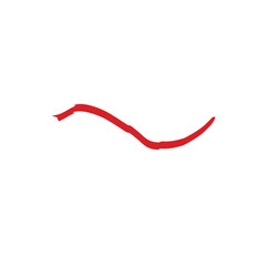 indonesia flag frame illustration design