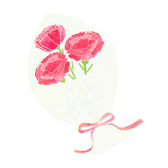 Beautiful red carnation bouquet clipart PNG