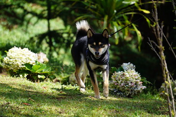 Serra da Mantiqueira