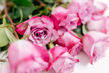 A bouquet of beautiful pink roses with a white gold engagement ring with diamonds on a white background. Fresh flowers on a white canvas. Wedding bouquet and wedding rings. Surprise marriage proposal.