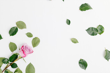 Pink rose and green leaves on white canvas. Space for text. Mock up