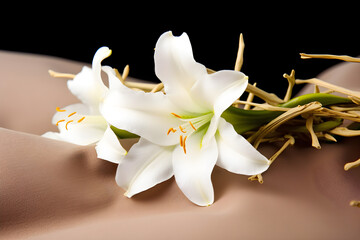a crown of thorns with a white lily 
