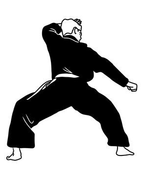 Professional Athlete Pencak Silat in Perform.