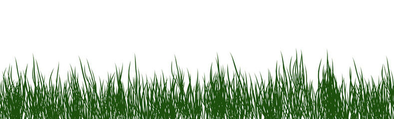 Fototapeta premium digitally rendered green grass isolated on white.