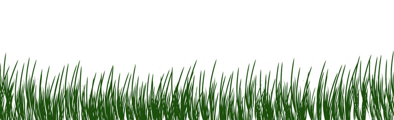 Obraz premium digitally rendered green grass isolated on white.