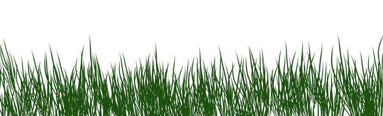 Obraz premium digitally rendered green grass isolated on white.