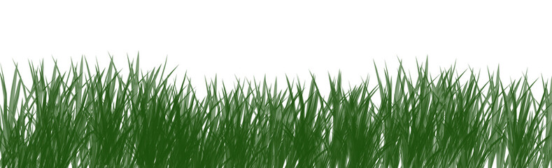 Obraz premium digitally rendered green grass isolated on white.