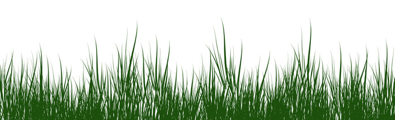 digitally rendered green grass isolated on white.