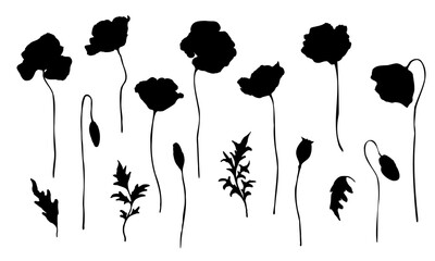 Poppy flowers buds and leaves black silhouette set on white background