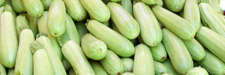 Macro photo of vegetable zucchini closeup. Vegetable food green zucchini